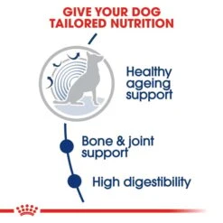 ROYAL CANIN MAXI Ageing 8+ Trockenfutter Für ältere Große Hunde -Trixie Verkaufsgeschäft RoyalCanin Hundefutter Maxi Adult 8plus 35dd696dc1336f