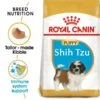 ROYAL CANIN Shih Tzu Puppy Welpenfutter Trocken -Trixie Verkaufsgeschäft RoyalCanin Hundefutter ShihTzu Puppy 1