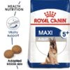 ROYAL CANIN MAXI Adult 5+ Trockenfutter Für ältere Große Hunde