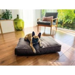 Aumüller Hundebett Basic Rechteckig 117 Cm 11 Aumüller Hundebett Basic Rechteckig 117 Cm -Trixie Verkaufsgeschäft aumueller hundebett basic rechteckig web 1LoS5grkXsYXf7