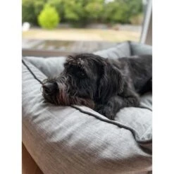 Aumüller Hundebett Sofa Ortho Line 80 Cm -Trixie Verkaufsgeschäft aumueller hundebett bed sofa ortho line grau web 9