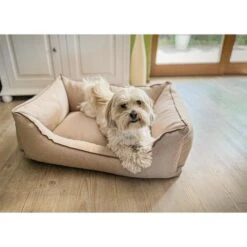 Aumüller Hundebett Sofa Basic 117 Cm 10 Aumüller Hundebett Sofa Basic 117 Cm -Trixie Verkaufsgeschäft aumueller hundebett sofa basic beige web 4VebHcfIuf18z2