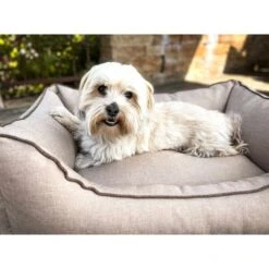 Aumüller Hundebett Sofa Basic 117 Cm 11 Aumüller Hundebett Sofa Basic 117 Cm -Trixie Verkaufsgeschäft aumueller hundebett sofa basic beige web 8