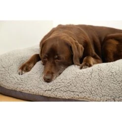 Beeztees Orthopädisches Memory Foam Lounge Hundekissen Ruba 100 X 70 Cm 7 Beeztees Orthopädisches Memory Foam Lounge Hundekissen Ruba 100 X 70 Cm -Trixie Verkaufsgeschäft beeztees orthopadisches memory foam lounge hundekissen ruba 3