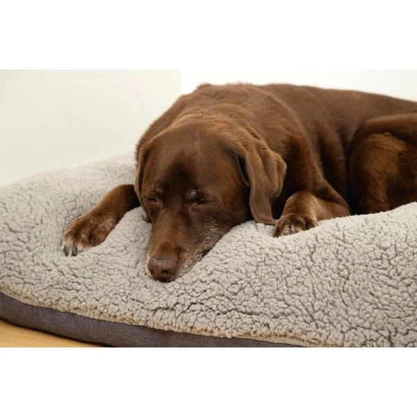 Beeztees Orthopädisches Memory Foam Lounge Hundekissen Ruba 100 X 70 Cm 5 Beeztees Orthopädisches Memory Foam Lounge Hundekissen Ruba 100 X 70 Cm – Bild 3