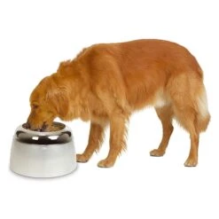 Trixie Verkaufsgeschäft -Trixie Verkaufsgeschäft dogit erhoehter futternapf fuer hunde 2