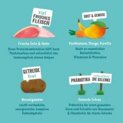 Edgard & Cooper Junior Freilaufente & Huhn -Trixie Verkaufsgeschäft edgardcooper JuniorEnteHuhn 6