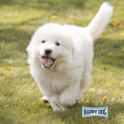 Happy Dog Supreme Baby Giant Lamb & Rice 15kg -Trixie Verkaufsgeschäft happy dog young giant puppy lamm reis 7