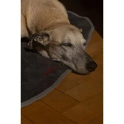 IEnergy BUR Hundematte -Trixie Verkaufsgeschäft ienery hundematte bur 6