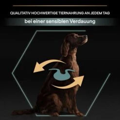 PRO PLAN Large Athletic Adult Sensitive Digestion Lamm -Trixie Verkaufsgeschäft pro plan large athletic adult sensitive digestion lamm 5