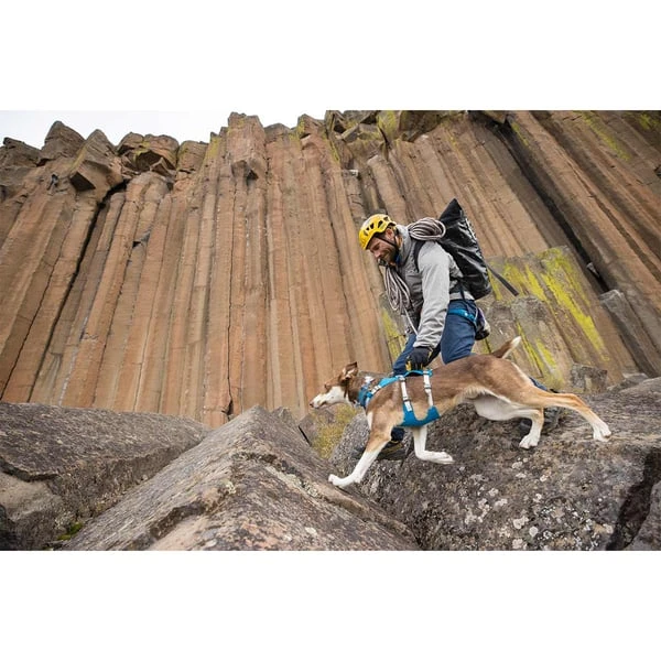 Ruffwear Geschirr Flagline Blue Dusk 12 Ruffwear Geschirr Flagline Blue Dusk – Bild 10