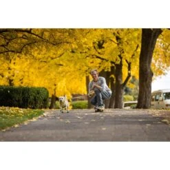 Ruffwear Geschirr Flagline Lichen Green -Trixie Verkaufsgeschäft ruffwear geschirr flagline lichen green web 12