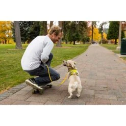 Ruffwear Geschirr Flagline Lichen Green -Trixie Verkaufsgeschäft ruffwear geschirr flagline lichen green web 9