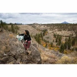 Ruffwear Geschirr Flagline Sage Green -Trixie Verkaufsgeschäft ruffwear geschirr flagline sage green web 11