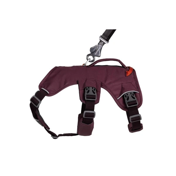 Ruffwear Geschirr Web Master Purple Rain 7 Ruffwear Geschirr Web Master Purple Rain – Bild 5