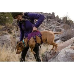 Ruffwear Geschirr Web Master Purple Rain 22 Ruffwear Geschirr Web Master Purple Rain -Trixie Verkaufsgeschäft ruffwear geschirr web master purple rain web 8