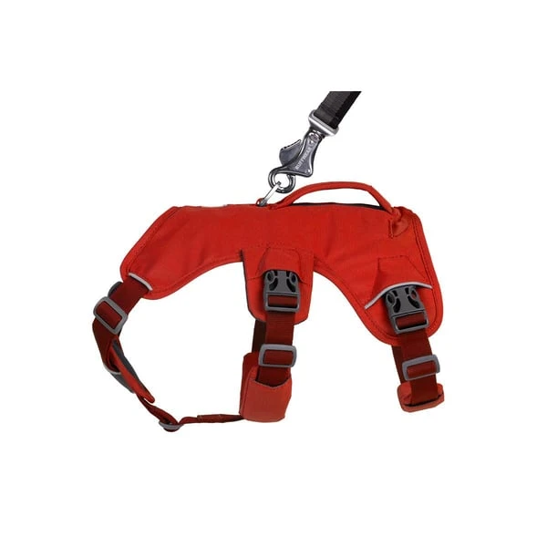 Ruffwear Geschirr Web Master Red Sumac 8 Ruffwear Geschirr Web Master Red Sumac – Bild 6