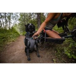 Ruffwear Switchbak Leine Granite Gray -Trixie Verkaufsgeschäft ruffwear leine switchbak granite gray web 9