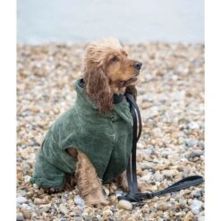 Rukka Pets Medea Eco Bademantel -Trixie Verkaufsgeschäft rukka pets bademantel medea 3aWklWkBu7Zcrv