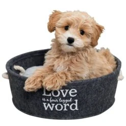 Trixie Filzschlafplatz Lian In Grau 10 Trixie Filzschlafplatz Lian In Grau -Trixie Verkaufsgeschäft trixie bett lian 2