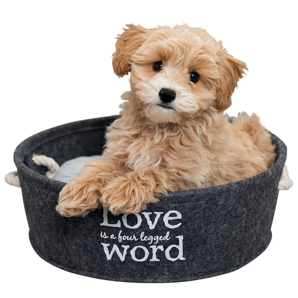 Trixie Filzschlafplatz Lian In Grau 6 Trixie Filzschlafplatz Lian In Grau – Bild 4