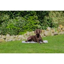 Trixie Kühlmatte Soft XL 90x60cm -Trixie Verkaufsgeschäft trixie kuehlmatte soft 340WwSmroPXfEy