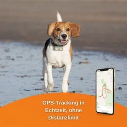 Weenect Dogs 2 - GPS Tracker Für Hunde 11 Weenect Dogs 2 - GPS Tracker Für Hunde -Trixie Verkaufsgeschäft weenect dog2 3