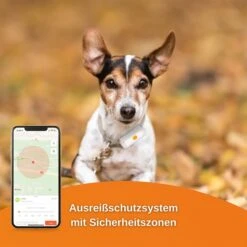 Weenect Dogs 2 - GPS Tracker Für Hunde 13 Weenect Dogs 2 - GPS Tracker Für Hunde -Trixie Verkaufsgeschäft weenect dog2 5