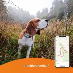 Weenect Dogs 2 - GPS Tracker Für Hunde 15 Weenect Dogs 2 - GPS Tracker Für Hunde -Trixie Verkaufsgeschäft weenect dog2 7