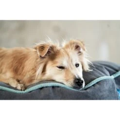 ZooRoyal Hundekissen Elias Anthrazit -Trixie Verkaufsgeschäft zooroyal hundekissen elias anthrazit 3