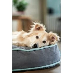 ZooRoyal Hundekissen Elias Anthrazit -Trixie Verkaufsgeschäft zooroyal hundekissen elias anthrazit 4