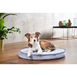 ZooRoyal Orthopädisches Hundekissen Elias Rund Grau -Trixie Verkaufsgeschäft zooroyal hundekissen elias rund grau 4