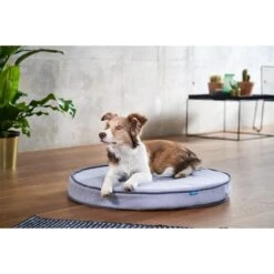 ZooRoyal Orthopädisches Hundekissen Elias Rund Grau -Trixie Verkaufsgeschäft zooroyal hundekissen elias rund grau 5