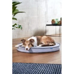 ZooRoyal Orthopädisches Hundekissen Elias Rund Grau -Trixie Verkaufsgeschäft zooroyal hundekissen elias rund grau 7