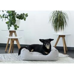 ZooRoyal In- & Outdoor Haustierbett Sam 61x48 Cm Grau -Trixie Verkaufsgeschäft zooroyal in und outdoor haustierbett sam 61x84cmbazHkLsIh5zYS