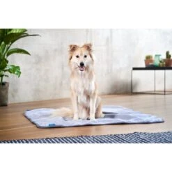 ZooRoyal Decke Levi Grau 120 X 100 Cm -Trixie Verkaufsgeschäft zooroyal kuscheldecke levi grau 6