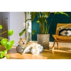 ZooRoyal Outdoorbett Noah 27 ZooRoyal Outdoorbett Noah -Trixie Verkaufsgeschäft zooroyal outdoorbett noah 6