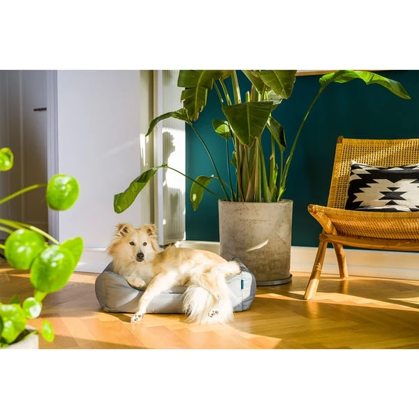 ZooRoyal Outdoorbett Noah 8 ZooRoyal Outdoorbett Noah – Bild 6