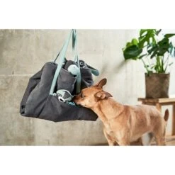 ZooRoyal Reisedecke Carl Anthrazit 120 X 85 Cm -Trixie Verkaufsgeschäft zooroyal reisedecke carl anthrazit 120 x 85 cm 25e2057298d78a