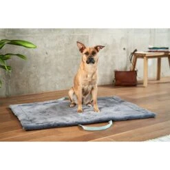 ZooRoyal Reisedecke Carl Anthrazit 120 X 85 Cm -Trixie Verkaufsgeschäft zooroyal reisedecke carl anthrazit 120 x 85 cm 55e20572c2e5e9