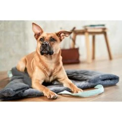 ZooRoyal Reisedecke Carl Anthrazit 120 X 85 Cm -Trixie Verkaufsgeschäft zooroyal reisedecke carl anthrazit 120 x 85 cm 7