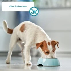 ZooRoyal Monoprotein Huhn Trockenfutter -Trixie Verkaufsgeschäft zooroyal hundetrockenfutter monoprotein huhn 3
