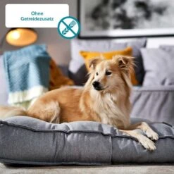 ZooRoyal Monoprotein Huhn Trockenfutter -Trixie Verkaufsgeschäft zooroyal hundetrockenfutter monoprotein huhn 4