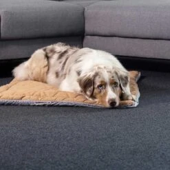 ZooRoyal Premium Haustier Kuscheldecke Luna 115x71 Cm 9 ZooRoyal Premium Haustier Kuscheldecke Luna 115x71 Cm -Trixie Verkaufsgeschäft zooroyal kuscheldecke luna braun web 3