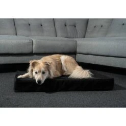 ZooRoyal Orthopädisches Premium Hundekissen Luna -Trixie Verkaufsgeschäft zooroyal luna 6